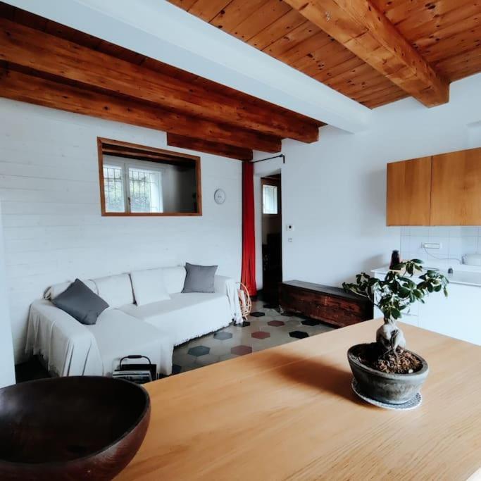 Casasassi Apartment Turin Exterior photo